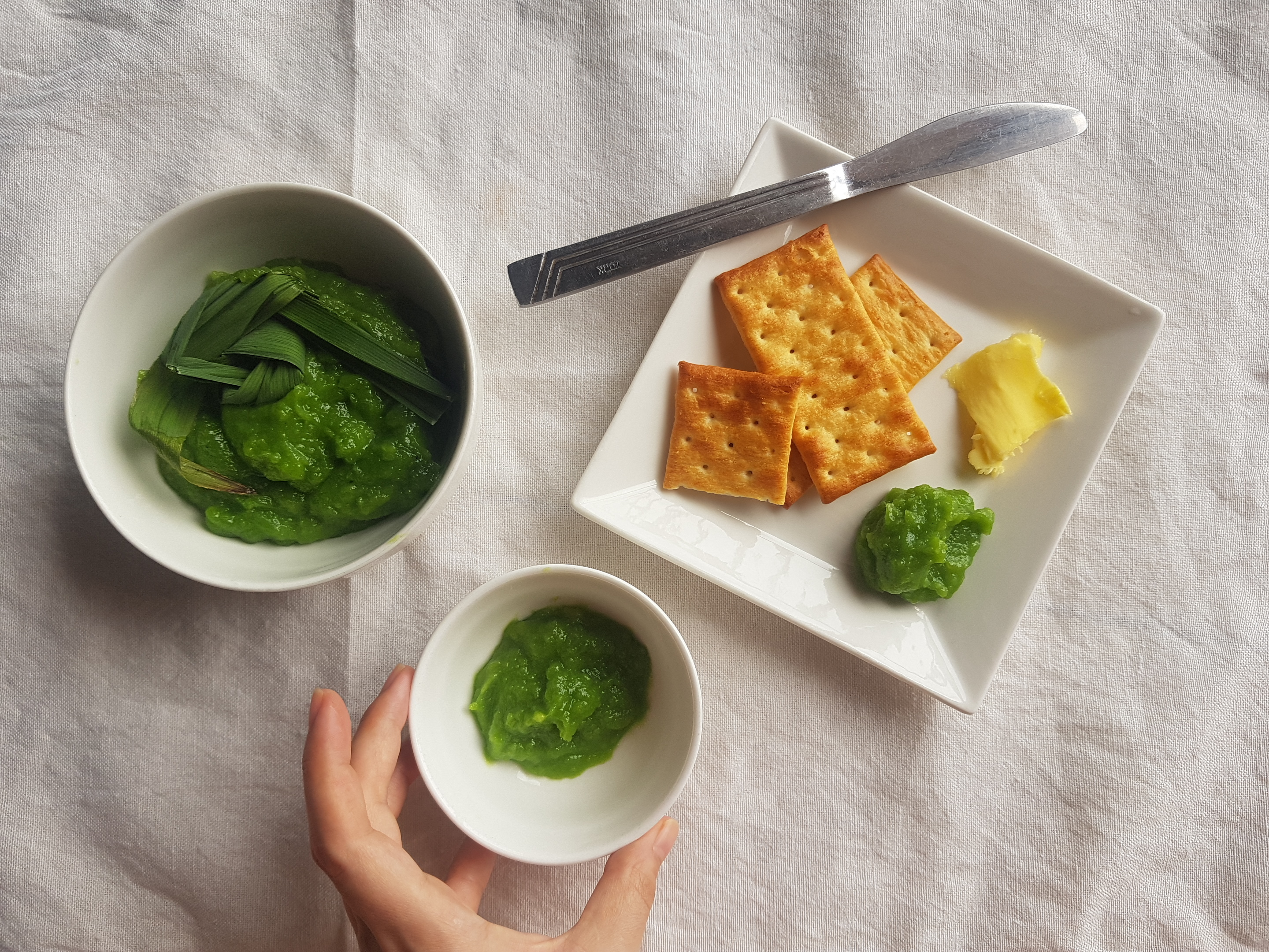 Homemade Kaya – Gudeiary